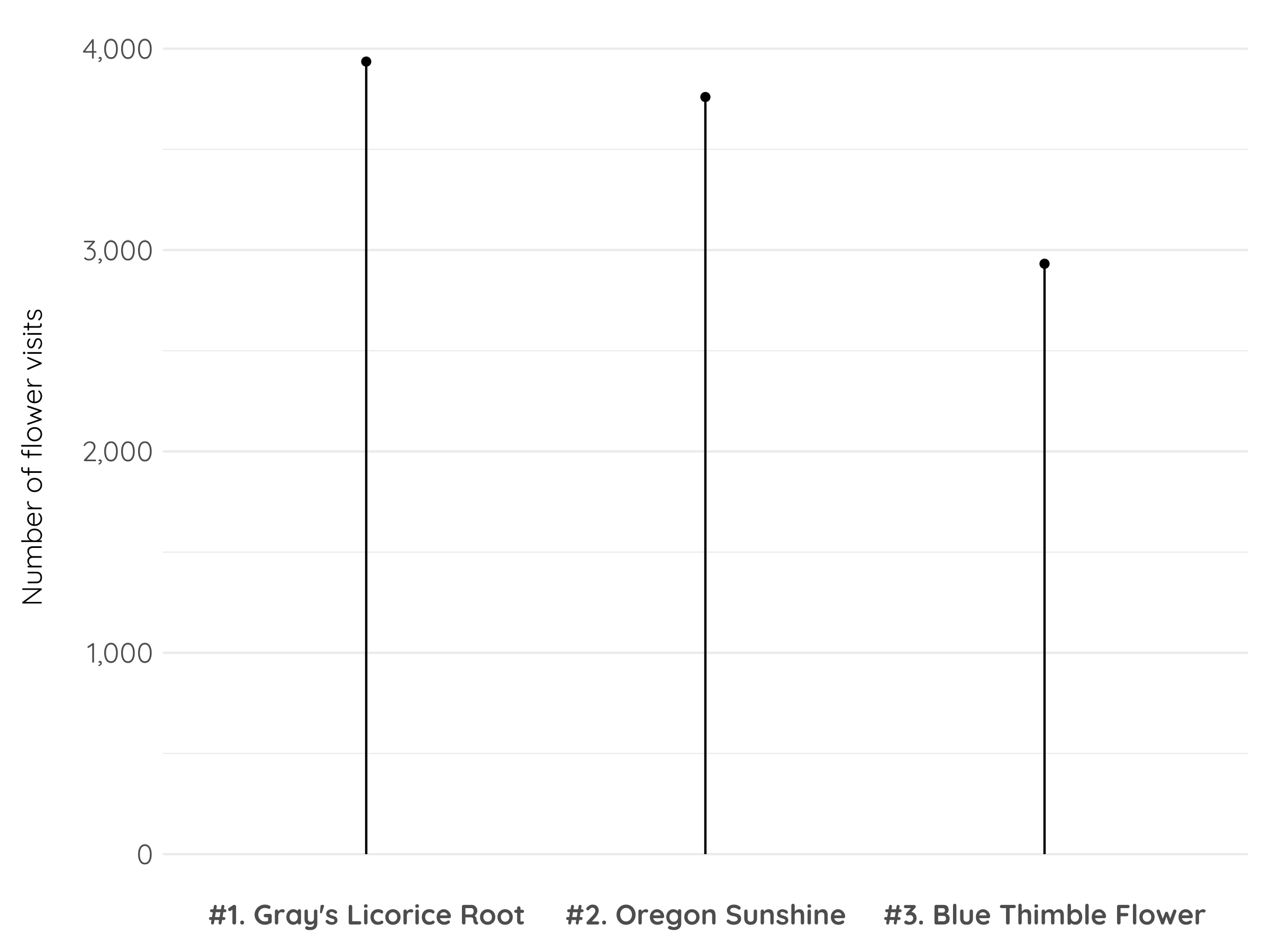 A lollipop chart with flowers Gray's Licorice Root, Oregon Sunshine, and Blue Thimble Flower on the x-axis and Number of flower visits ranging from 0 to 4000 on the y-axis. Gray's Licorice Root is the tallest line, followed by Oregon Sunshine and then Blue Thimble Flower.